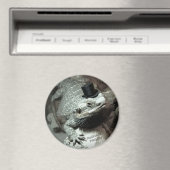 Bartdrache in einem Top Hat Magnet (In Situ (Geschirrspüler))