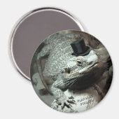 Bartdrache in einem Top Hat Magnet (Vorderseite/Rückseite)