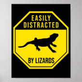 Bartdrache leicht von Lizards abgelenkt Poster (Vorne)