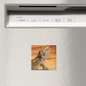 Bartdrache (Pogona Vitticeps) auf Felsen, Magnet (In Situ (Geschirrspüler))