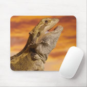 Bartdrache (Pogona Vitticeps) auf Felsen, Mousepad (Mit Mouse)