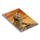 Bartdrache (Pogona Vitticeps) auf Felsen, Notizblock (Rechte Seite)