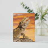 Bartdrache (Pogona Vitticeps) auf Felsen, Postkarte (Stehend Vorderseite)