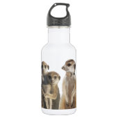 Bärte Edelstahlflasche (Vorderseite)