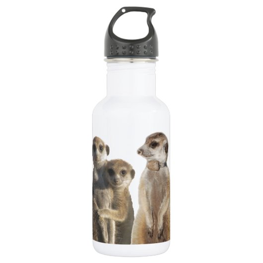 Bärte Edelstahlflasche (Vorderseite)
