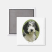 Barted Collie 9Y049D-018 Magnet (Vorderseite/Rückseite)