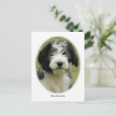 Barted Collie 9Y049D-018 Postkarte (Stehend Vorderseite)