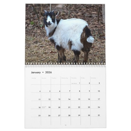 Barted Lady Farms Calendar Kalender (Jan 2026)