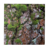 Bartenbaum Fliese (Vorderseite)