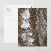 Bartenbaum Postkarte (Vorne/Hinten)