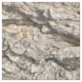 Bartenmuster Stoff (Nahaufnahme)