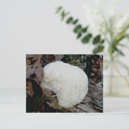 Bartentuch (Hericium erinaceus) Postkarte (Stehend Vorderseite)
