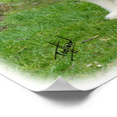 Bartete Collie 8R002D-16 Poster (Ecke)