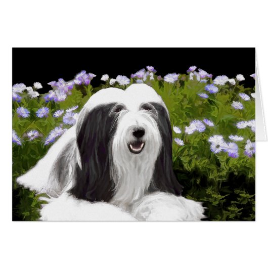 Bartete Collie Malerei - Niedliche Original Hunde  (Vorderseite (Horizontal))