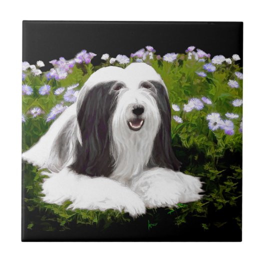 Bartete Collie Malerei - Niedliche Original Hunde Fliese (Vorderseite)