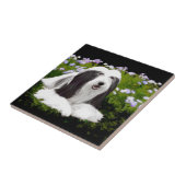 Bartete Collie Malerei - Niedliche Original Hunde Fliese (Seite)