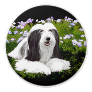Bartete Collie Malerei - Niedliche Original Hunde Keramikknauf