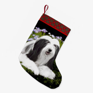 Bartete Collie Malerei - Niedliche Original Hunde  Kleiner Weihnachtsstrumpf
