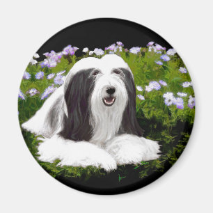Bartete Collie Malerei - Niedliche Original Hunde Magnet