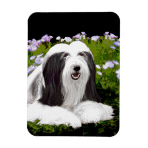 Bartete Collie Malerei - Niedliche Original Hunde  Magnet