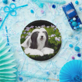 Bartete Collie Malerei - Niedliche Original Hunde Pappteller (Party)