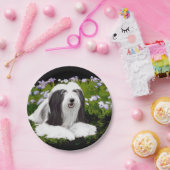 Bartete Collie Malerei - Niedliche Original Hunde Pappteller (Party)