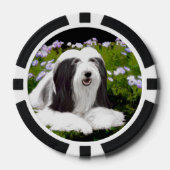 Bartete Collie Malerei - Niedliche Original Hunde Pokerchips (Vorderseite)