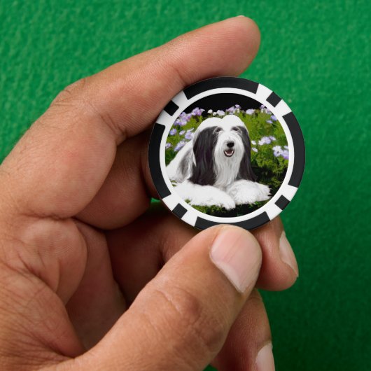 Bartete Collie Malerei - Niedliche Original Hunde Pokerchips (Hand)