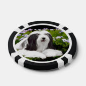 Bartete Collie Malerei - Niedliche Original Hunde Pokerchips (Einzeln)