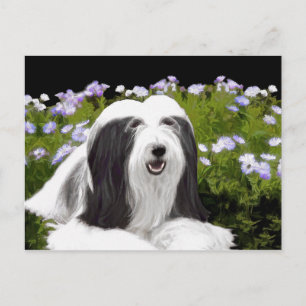 Bartete Collie Malerei - Niedliche Original Hunde  Postkarte