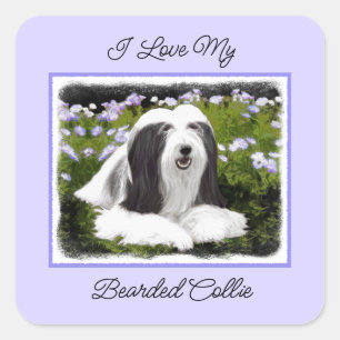 Bartete Collie Malerei - Niedliche Original Hunde Quadratischer Aufkleber