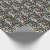 Bartete Collie plashing in Pfütze Geschenkpapier (Ecke)