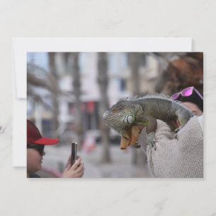 Bartete Drache am Meer Postkarte Paphos