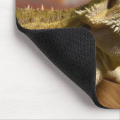 Bartete Drache (Pogona Vitticeps) auf Zweig, Mousepad (Ecke)