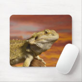 Bartete Drache (Pogona Vitticeps) auf Zweig, Mousepad (Mit Mouse)