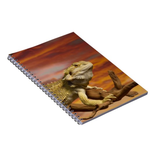 Bartete Drache (Pogona Vitticeps) auf Zweig, Notizblock (Rechte Seite)