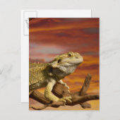Bartete Drache (Pogona Vitticeps) auf Zweig, Postkarte (Vorne/Hinten)