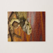 Bartete Drache (Pogona Vitticeps) auf Zweig, Puzzle (Horizontal)