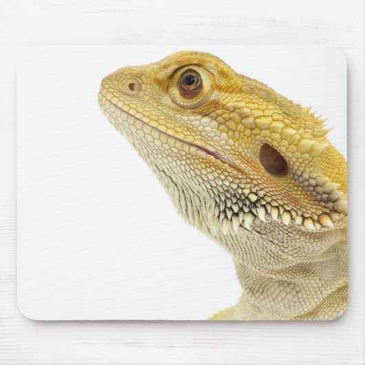 Bartete Drache (Pogona Vitticeps) Mousepad (Vorne)