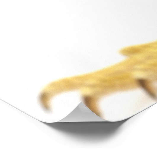 Bartete Drache (Pogona Vitticeps) Poster (Ecke)