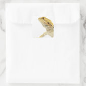 Bartete Drache (Pogona Vitticeps) Quadratischer Aufkleber (Tasche)