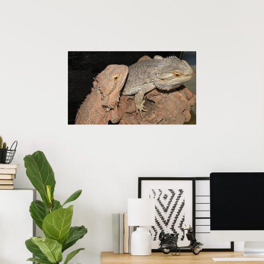 Bartete Drachen Poster (Heimbüro)