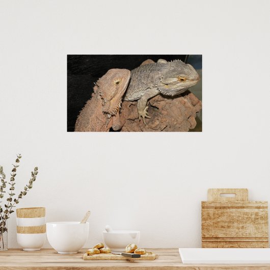 Bartete Drachen Poster (Küche)