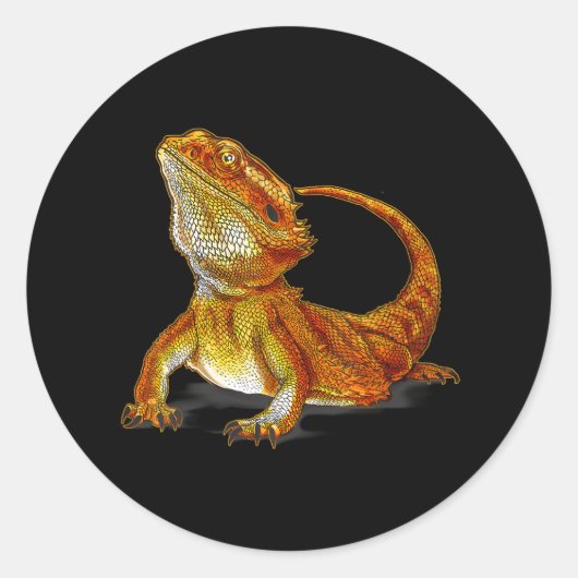 Bartete Dragon Lizard Terraristic Wildlife Animal Runder Aufkleber (Vorderseite)