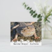 Bartete Dragon-Serie Postkarte (Stehend Vorderseite)