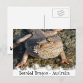 Bartete Dragon-Serie Postkarte (Vorne/Hinten)