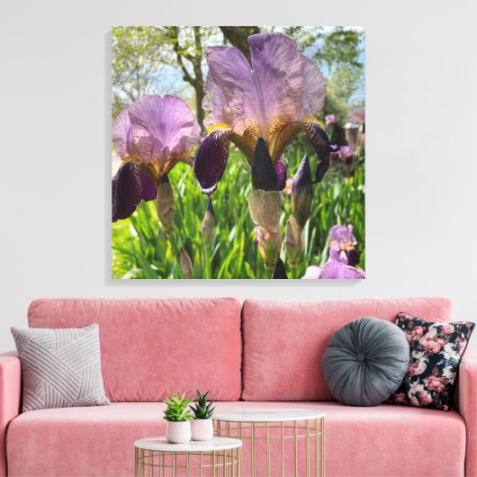 Bartete Iris Blume Leinwanddruck (Insitu (Wohnzimmer))