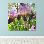 Bartete Iris Blume Leinwanddruck (Insitu (Holzboden))