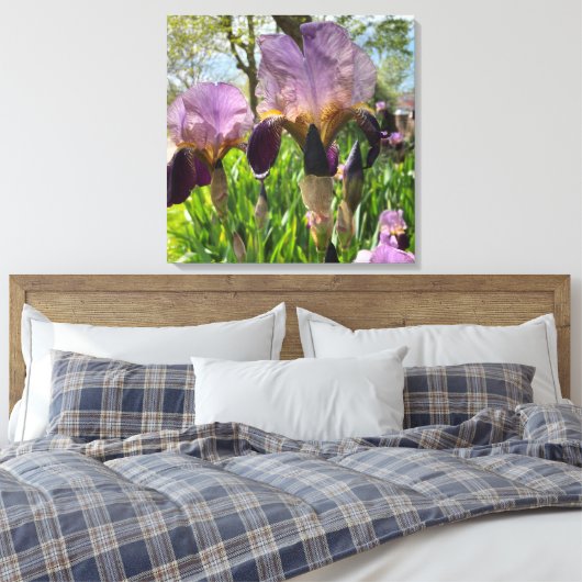 Bartete Iris Blume Leinwanddruck (Insitu (Schlafzimmer))