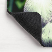 Bartete Iris Pair-Blume Mousepad (Ecke)